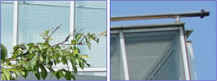 ISO100A1/1250bAEV+0.7