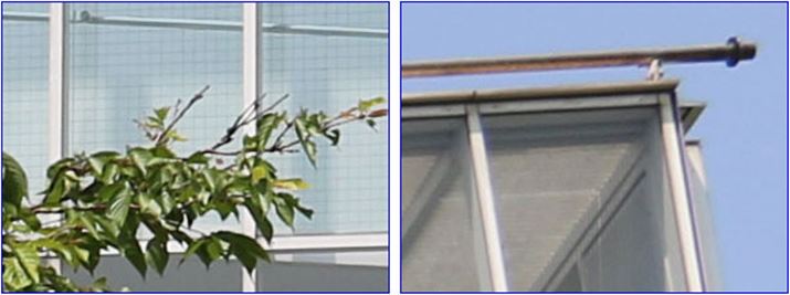 ISO100A1/400bAEV+0.3