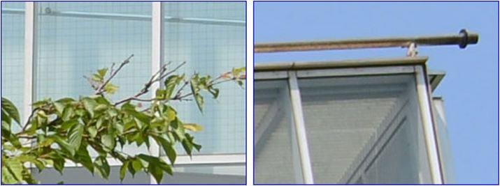 ISO100A1/250bAEV+0.3