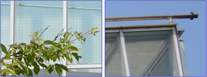 ISO100A1/1250bAEV+0.3