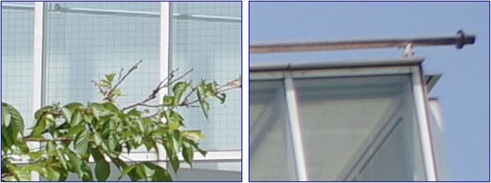 ISO100A1/500bAEV+0.7