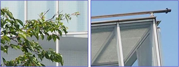 ISO200A1/800bAEV+0.7