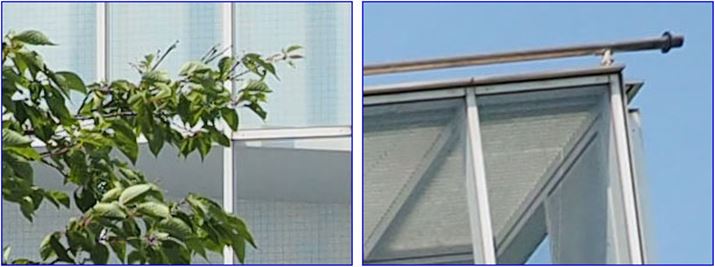 ISO200A1/2000bAEV+0.7