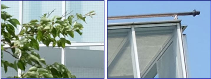 ISO200A1/1700bAEV0.0