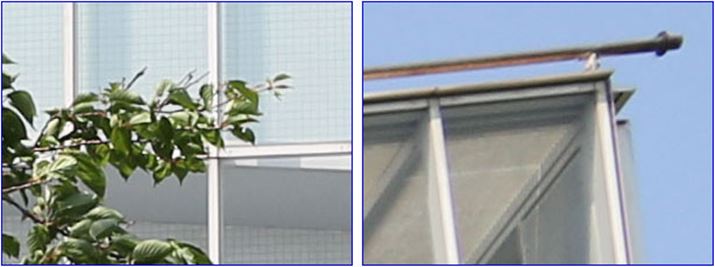 ISO100A1/1600bAEV+0.3