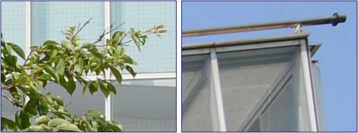 ISO100A1/250bAEV+0.3