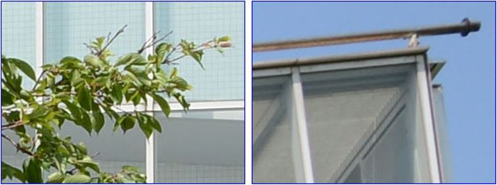 ISO100A1/500bAEV+0.3