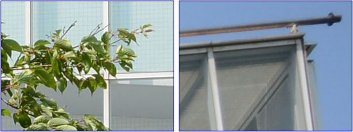 ISO100A1/1000bAEV+0.3