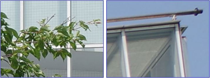 ISO100A1/200bAEV+0.3