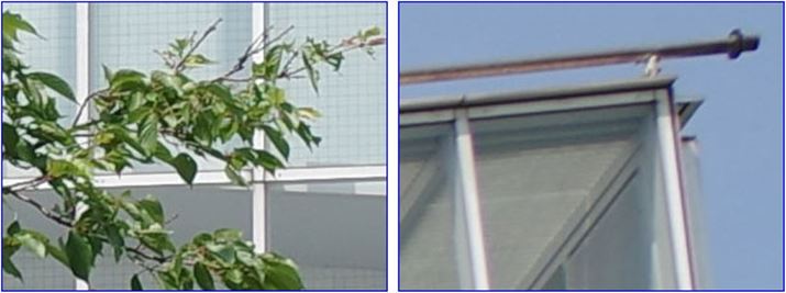 ISO100A1/400bAEV+0.3