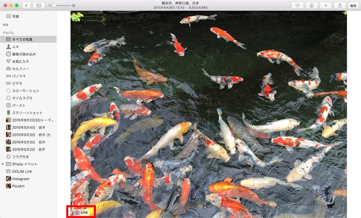 Live PhotosŎBeʐ^ɂLIVEƂACR\AJ[\킹ƍĐ