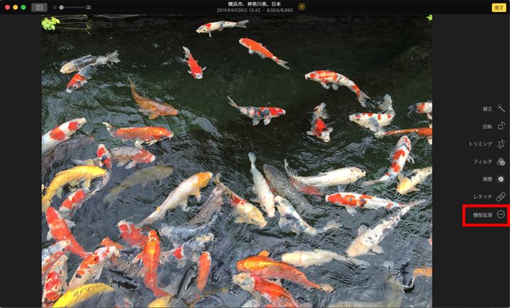 @\g瑼А̕ҏW@\𗘗pł