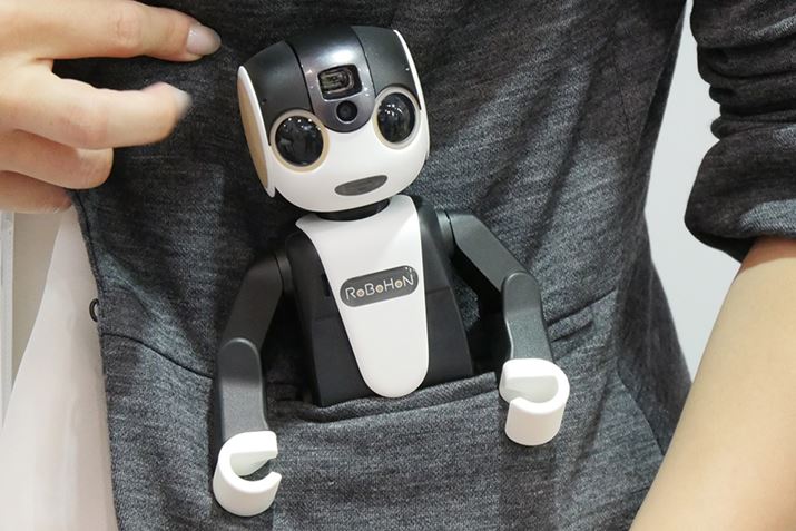 |PbgɓĎ^ԂƂł郍{zB㔼g͂قڂ͂ݏo