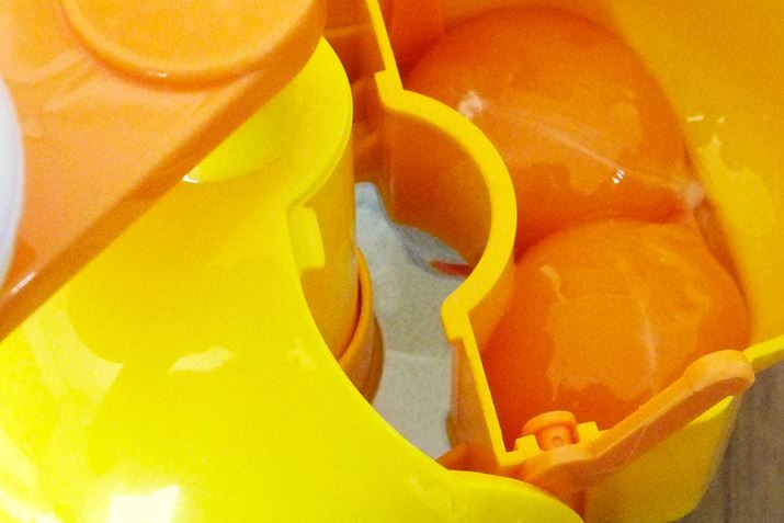 ̖A́AXChĊmFł܂