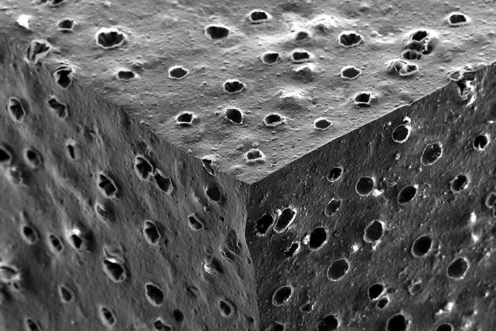 ACXK[hEt@CuEvX̃Sg債ƂB\ʂɍׂ񌩂