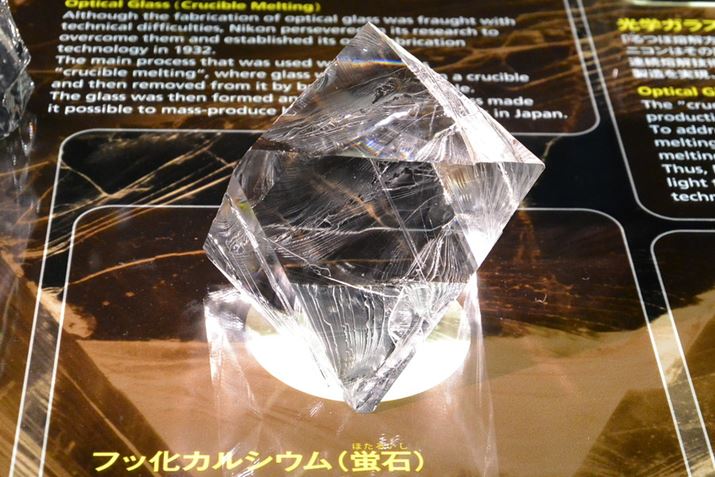 wfނƂĂꂽu΁BjR2001Ni13NjɐlHu΂̐YJn