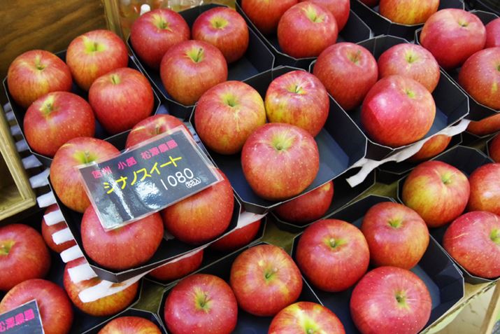 4㑱ʎ_Ƃ̂肪l܂A쌧s̏V_̊n񂲂񂳂Ă܂