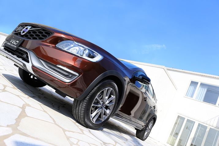 I[hƃIt[hI΂ȂjAfB[[GW̒RA̒ԏΉȂǔ_