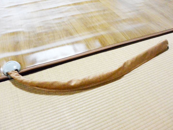 }bgƃ{C[ɂ́Az邽߂̃z[XtĂ