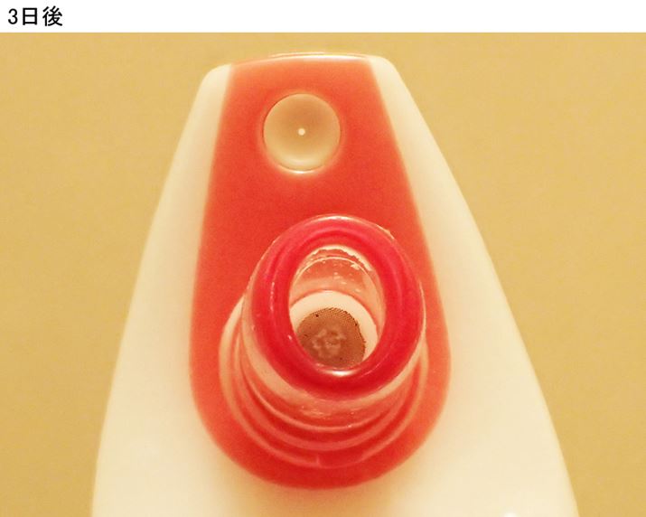 3ɂ͂قƂǉꂪȂ̂ŁA1TԃT{Ƃcc