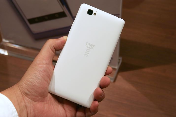 ����̂悤�ȃU���U�����������������̔w��