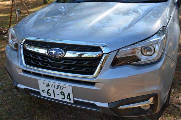 tgӂ̃fUC蒼ꃏChŗ͋ۂƂȂ