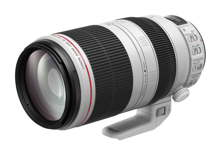 JӋ@핔ł́ALm̃YuEF100-400mm F4.5-5.6L IS II USMv܂ƂȂ