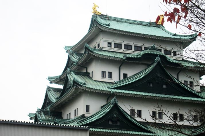 ݂̊Oς́A1w󂯂a5N̍̎p𐳊mɕĂ