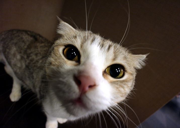 uLpYł́Aʑ̂Ɏv؂߂ÂĎBĂ݂܂傤BƁAȂɖʔ\Ɂv