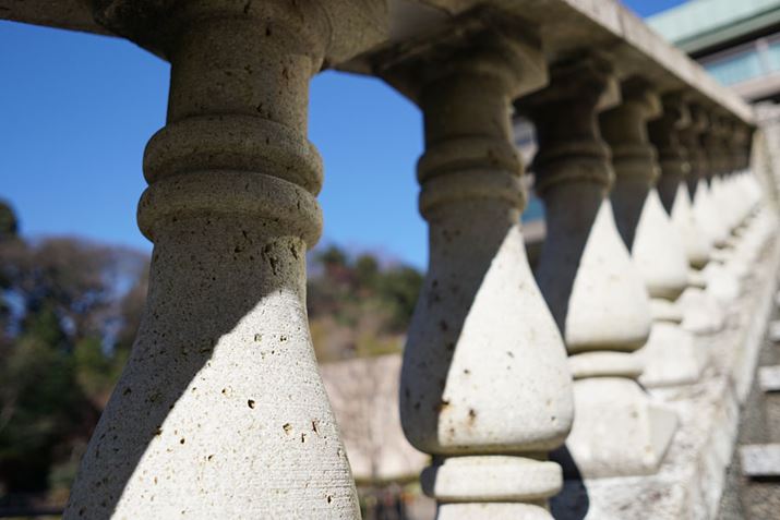 �����Y�F19mm F2.8 DN�i�V�O�}�j�A�J�����F��6000�i�\�j�[�j