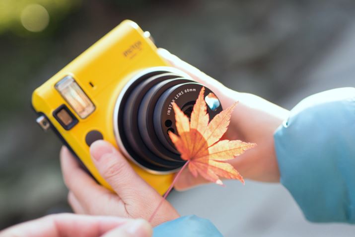 }N[hŋJtς̎BeABBeł͂Ȃ