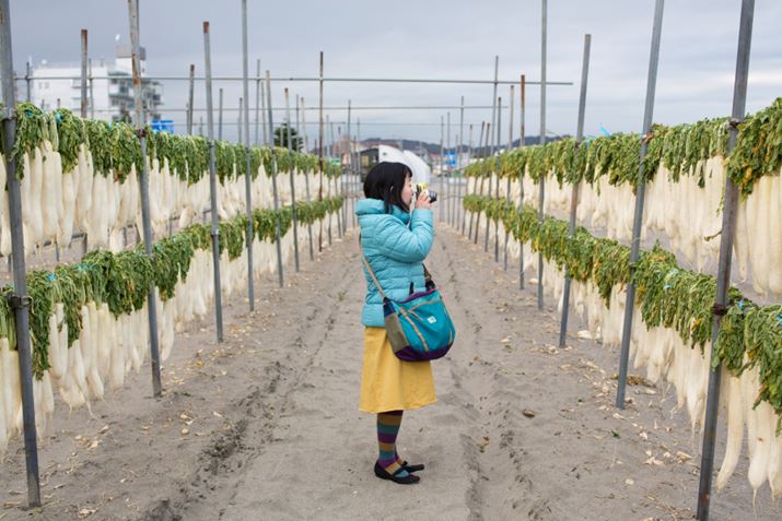 OYC݂ɂāuinstax mini70vāAOYC݂փhCuBOYC݂̓~̕A卪I