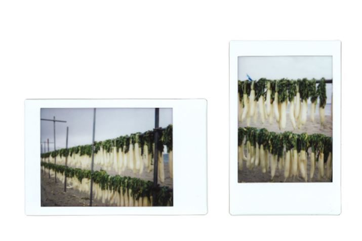 1iʐ^jm[}BeA2iʐ^Ejm[}Be