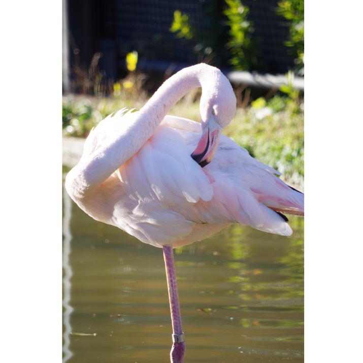 <strong>ʐ^A</strong><br>1/250 f5.6 ISO200(m[})