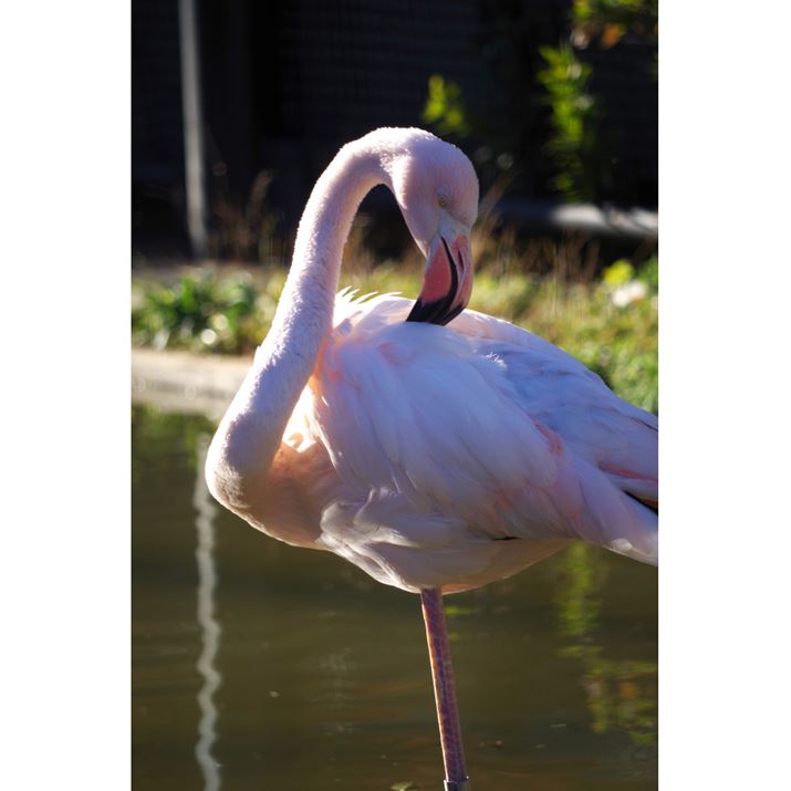 <strong>ʐ^B</strong><br>1/250 f5.6 ISO100(}CiX1␳)