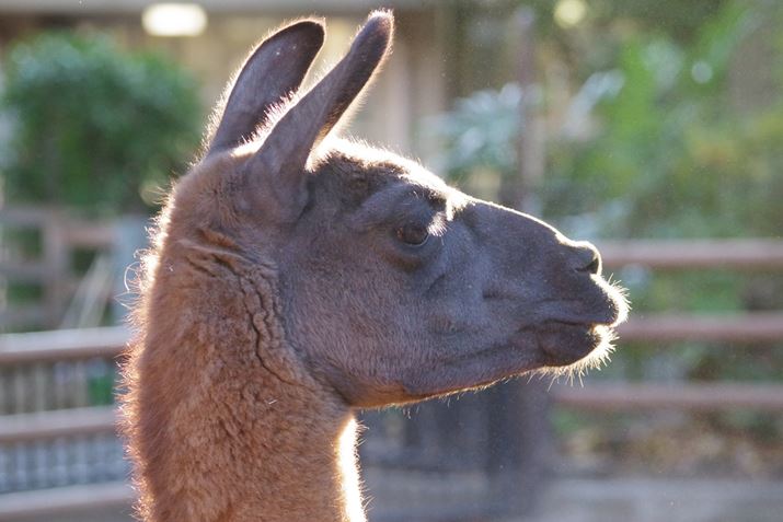 <strong>ʐ^Cim[}j</strong>@1/200 f6.3 ISO3200