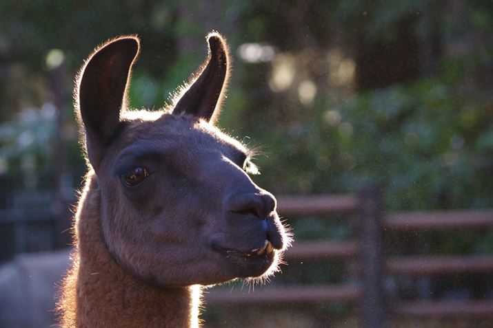 <strong>ʐ^Di}CiX1␳j</strong>@1/200 f6.3 ISO1600