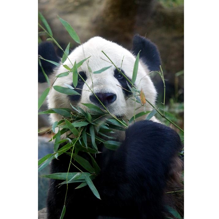 <strong>p_i}CiX1␳j</strong>@1/100 f6.3 ISO3200(-1␳)