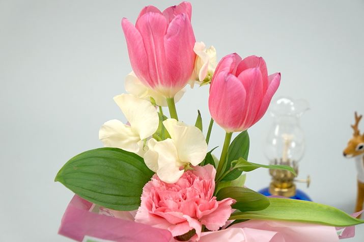 ƕGȑ`̂̂`Ă݂܂BԉŔu[P