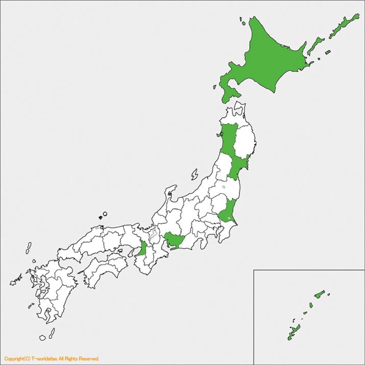 7��ڂƂȂ鍡��́A�{�錧�𐧔e�B�c����40�s�{���B��͂܂��܂������I