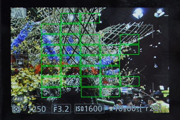 Nikon 1V[Y䂸̍I[gtH[JXVXe𓋍