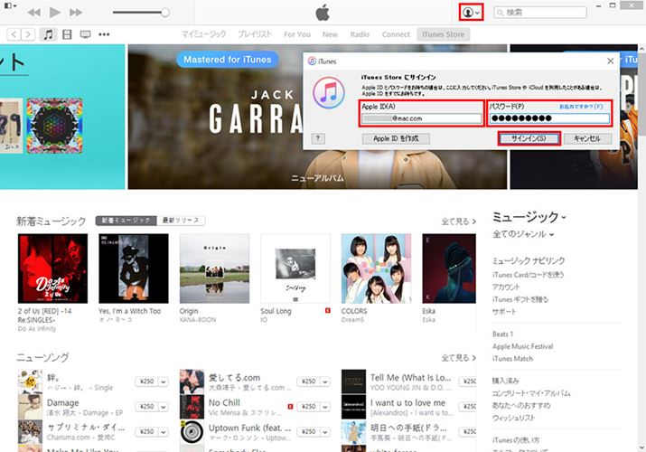 iTunes StoreApple IDŃOC