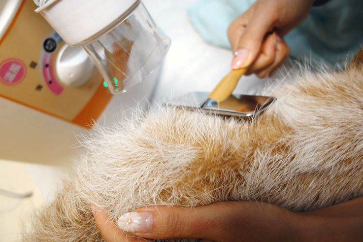 ܂Ńz[X߂ÂĂMȂI s|CgŊ̂ŕ֗