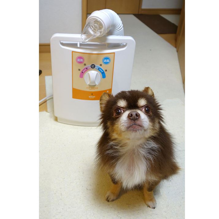 íu|mvɋ߂ÂȂ`A30̃hC[IhPDR-270̋߂ł