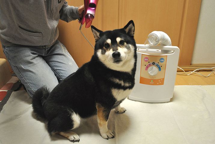 ɖїʂ̑^TCY̍ĂA񓁗ŕi葁SgƂł