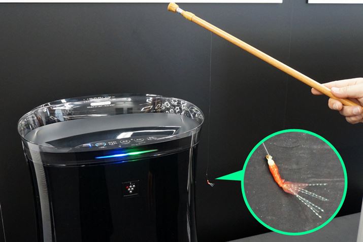 \ł́AɌĂ[󐴂Lb`fsꂽB̗lqij͉ŏЉI