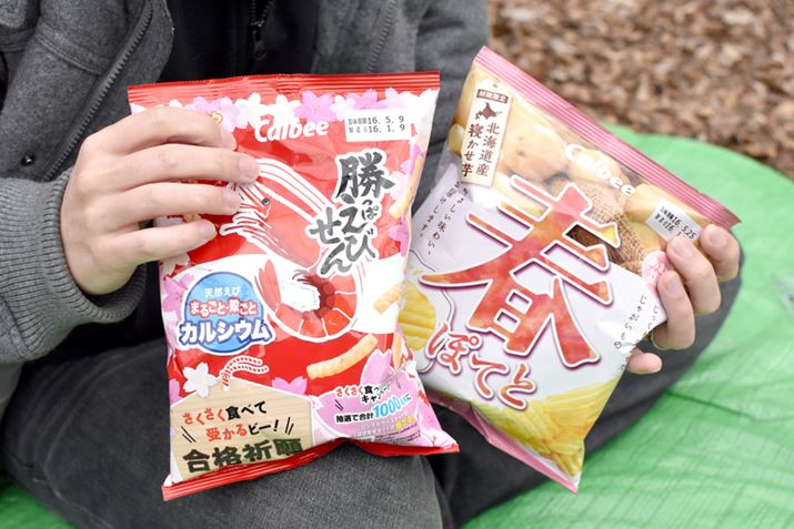 tpbP[ẂuςтvƁutۂĂ ܎|v