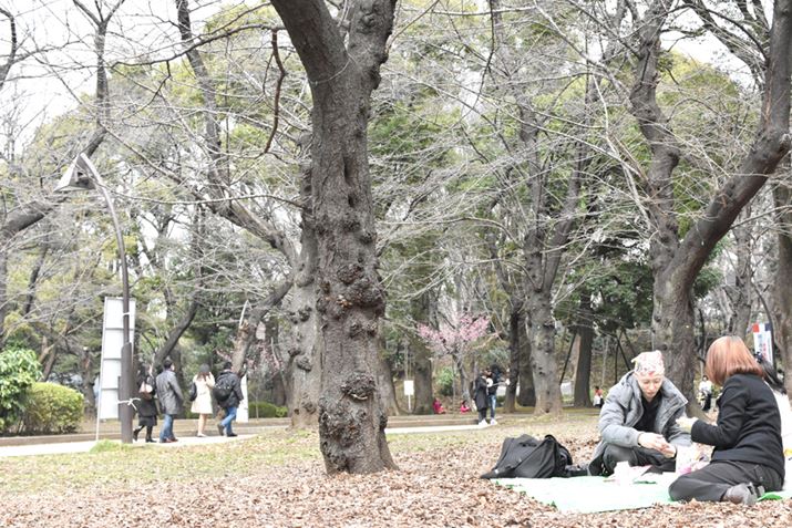 ́A猩Ƃȏ󋵁B炢ĂȂĂAW[V[g̒̓TNFŖJłI