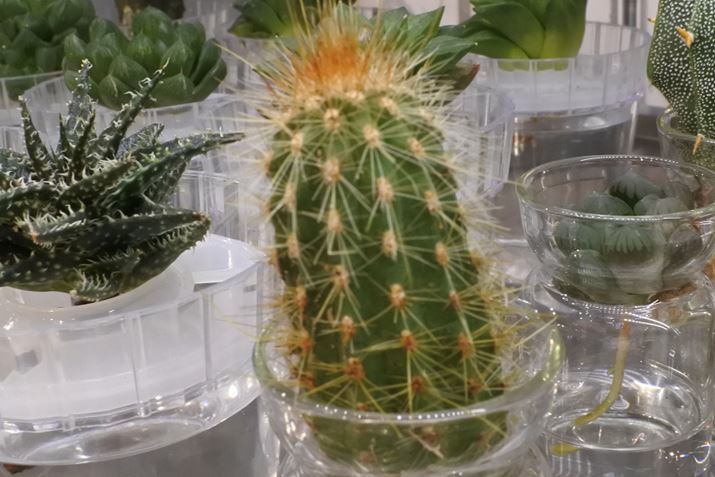 ʐ^1@F16, 1/30, 18.5mm