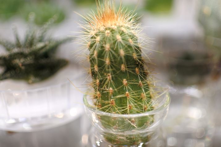 ʐ^2@F1.8A1/250A18.5mm